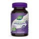 Sambucus Kids Immune Gummy - 40 gummies 2023-10-6434 фото 1