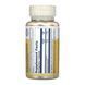 Pantothenic Acid 250mg - 100 caps 2023-10-6744 фото 2