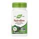 Spirulina Micro-Algae - 100 vcaps 2023-10-6853 фото 1
