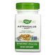 Astragalus Root - 100 vcaps 2022-10-1721 фото 1