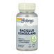 Bacillus Coagulans 5 Billion CFU - 60 vcaps 2023-10-6977 фото 1