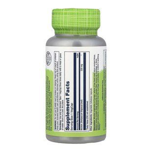 Mullein Leaf 330mg - 100 vcaps 2023-10-6980 фото