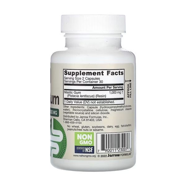 Mastic Gum 1000mg - 60 vcaps 2023-10-5590 фото