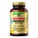 SFP Boswellia Resin Extract - 60 vcaps 2022-10-1556 фото 1