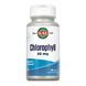 Chlorophyll 20mg - 100 tabs 2023-10-3159 фото 1